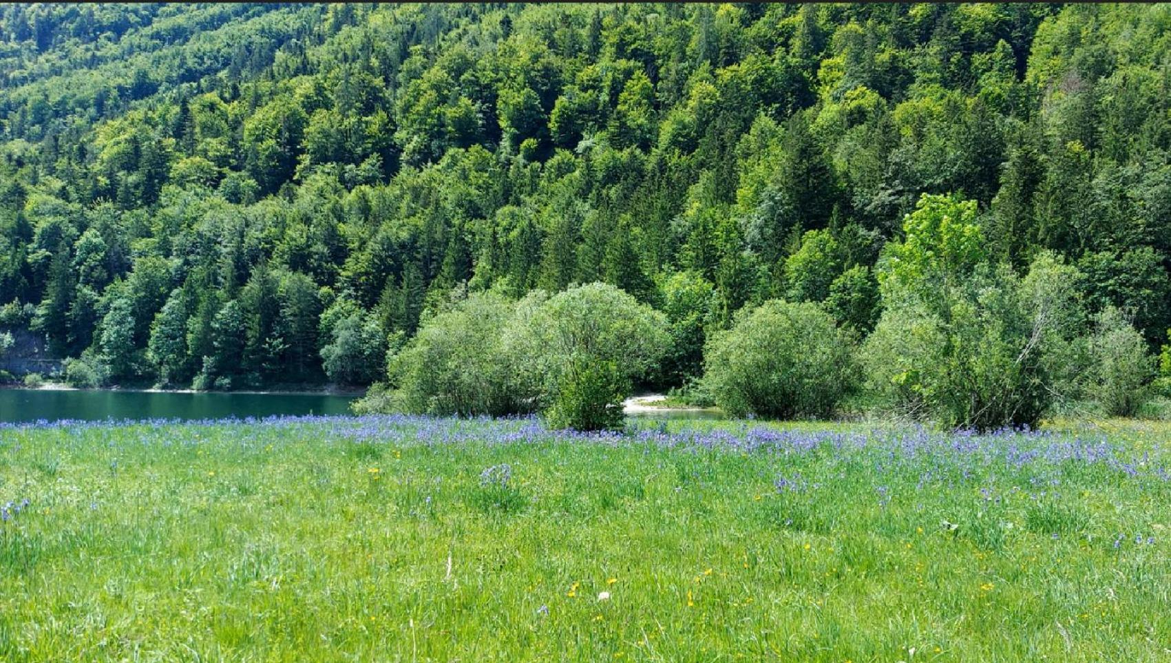 Jaegerhaus Vila Hintersee Exterior foto